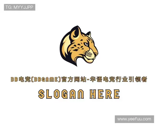 关于DB电竞